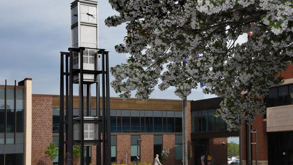 GCC Clocktower, looking past a tree in heavy flower